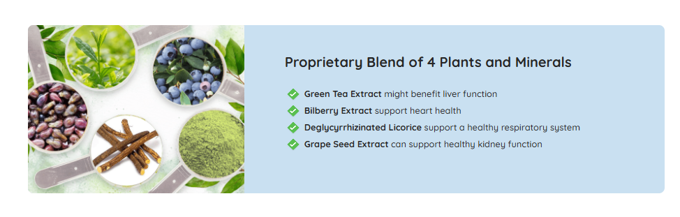 Metanail Serum Pro Ingredients